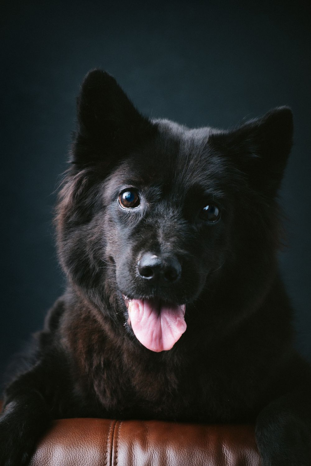Rainbow Bridge portrait by Furtographed