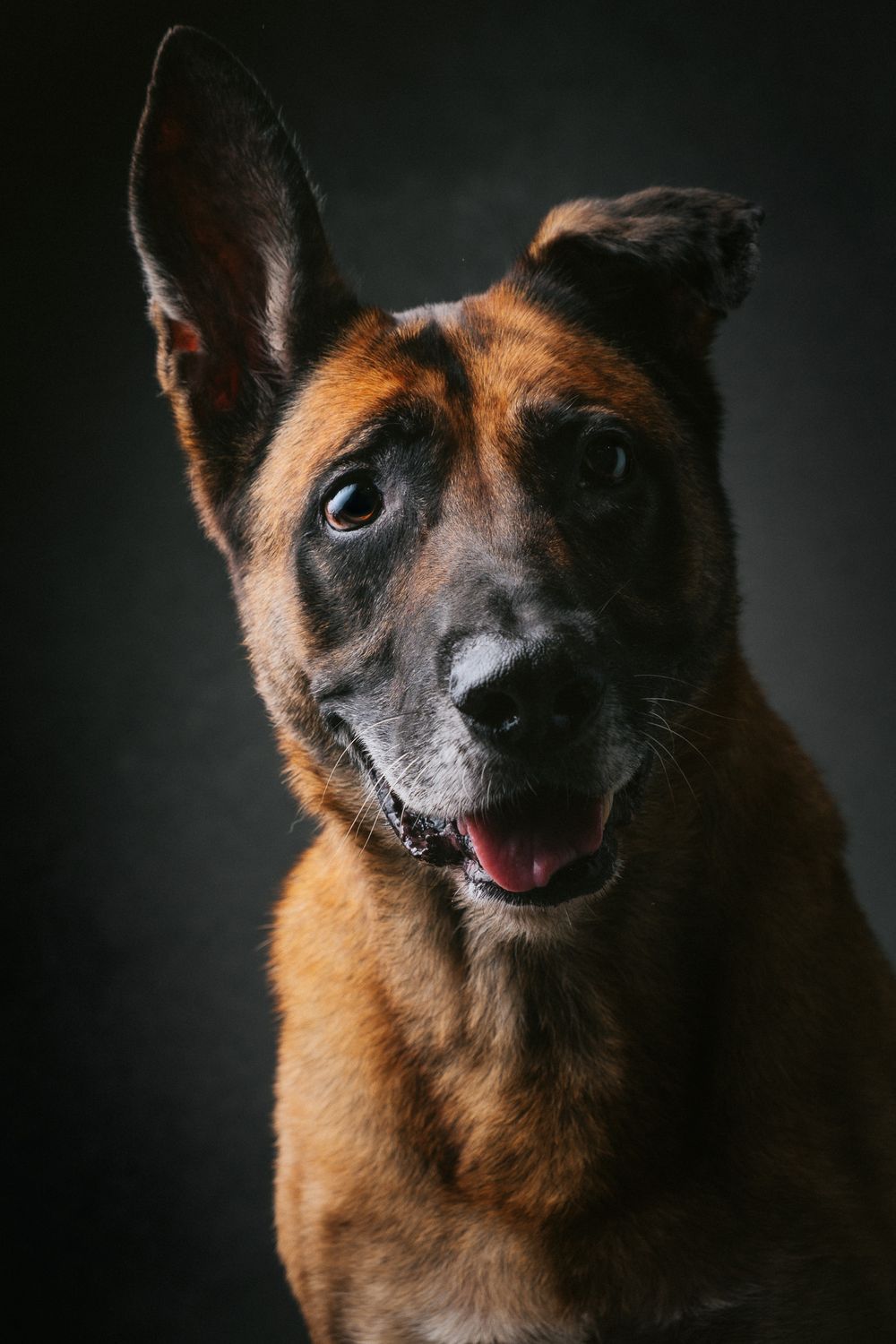 Rainbow Bridge portrait by Furtographed
