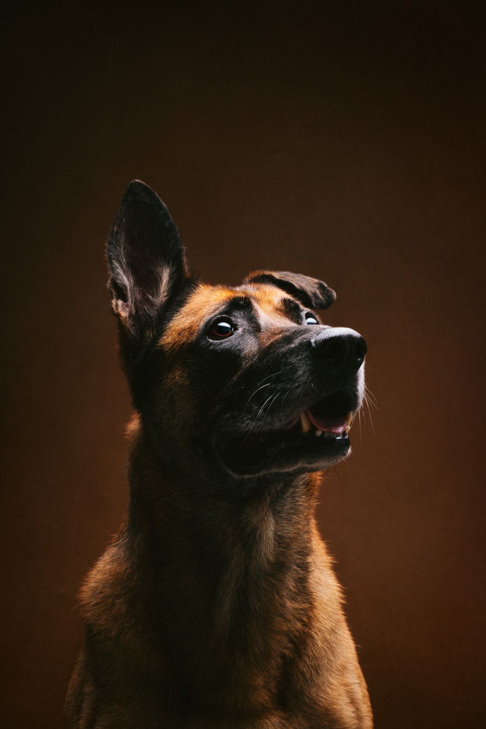 Rainbow Bridge portrait by Furtographed