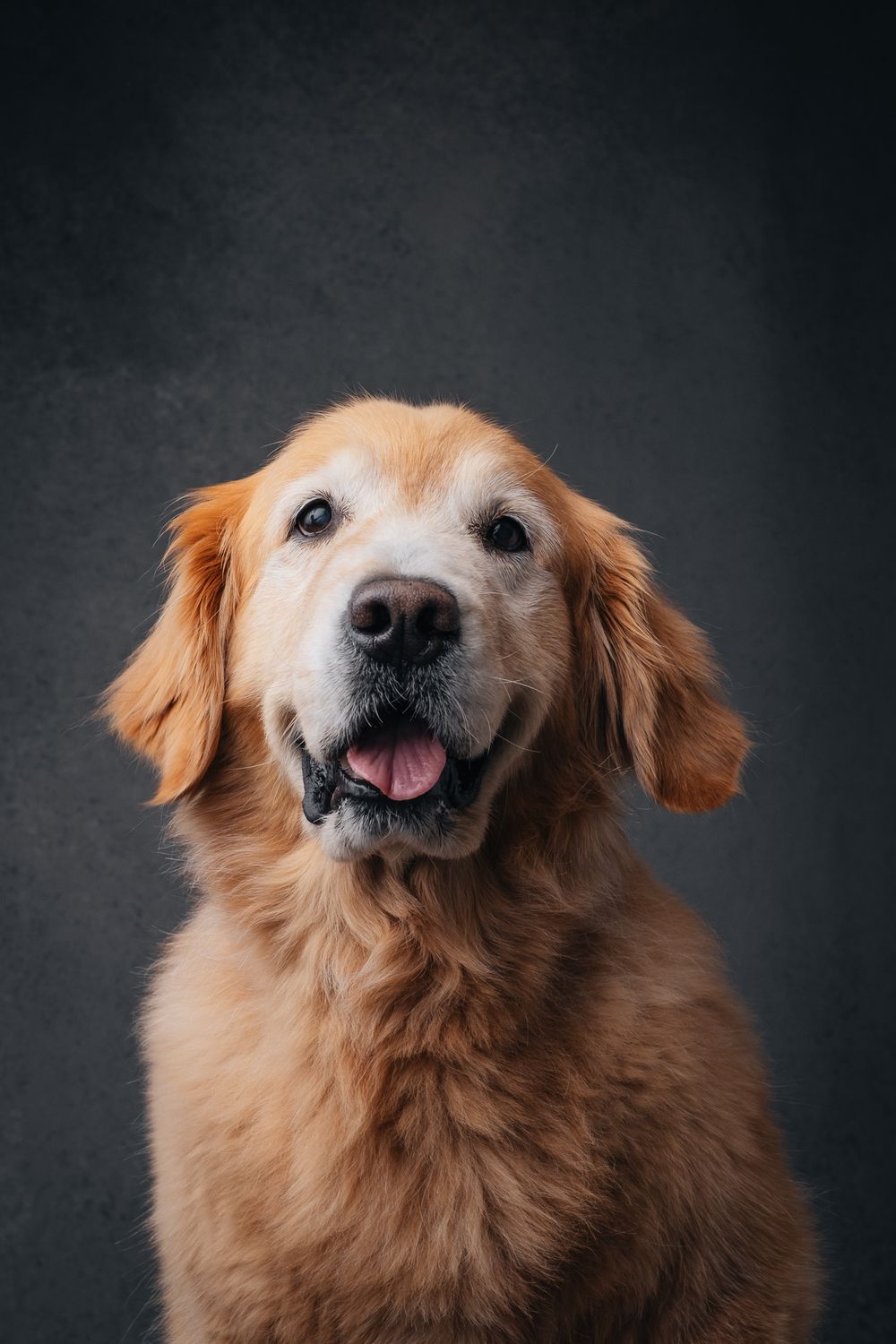 Rainbow Bridge portrait by Furtographed